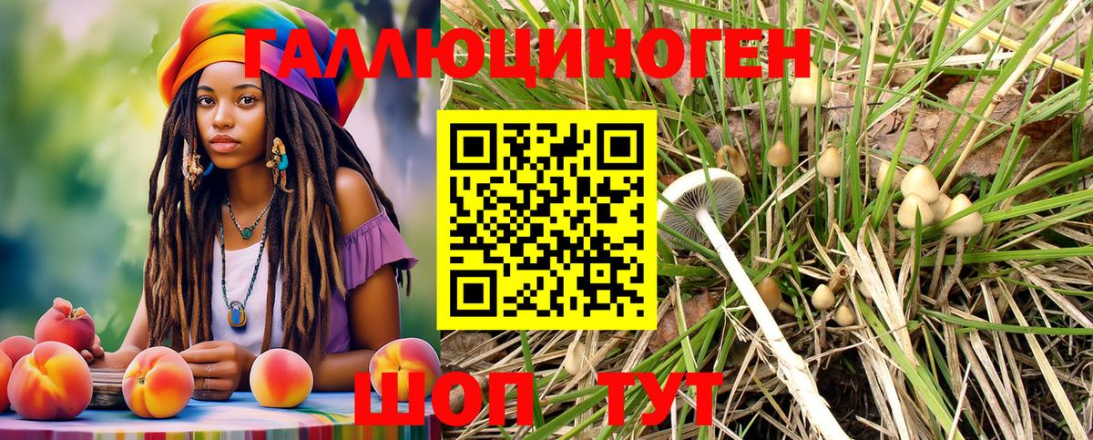 Псилоцибиновые грибы Psilocybe  Вход с VPN  где можно купить наркотик  Людиново 